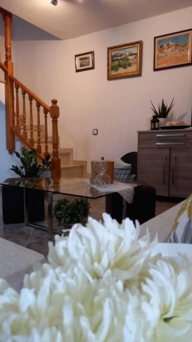 Villa Casa Joana à Canyelles  Extérieur photo